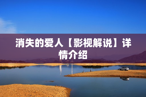 消失的爱人【影视解说】详情介绍