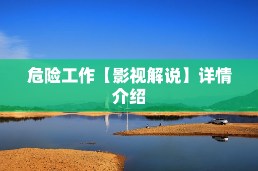 危险工作【影视解说】详情介绍