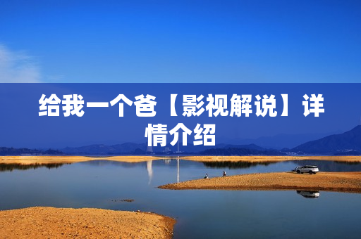 给我一个爸【影视解说】详情介绍