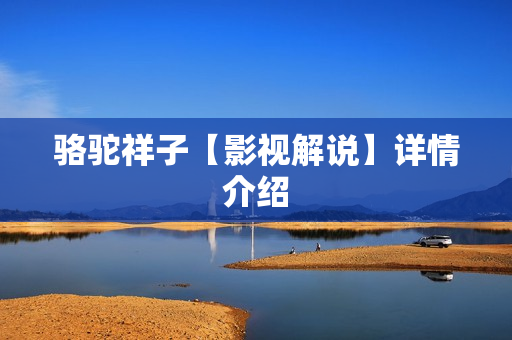 骆驼祥子【影视解说】详情介绍