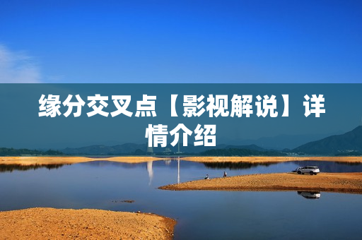 缘分交叉点【影视解说】详情介绍