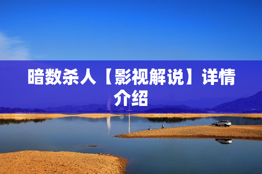 暗数杀人【影视解说】详情介绍