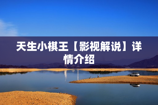 天生小棋王【影视解说】详情介绍