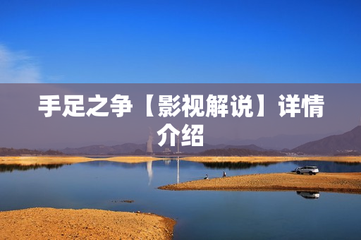 手足之争【影视解说】详情介绍