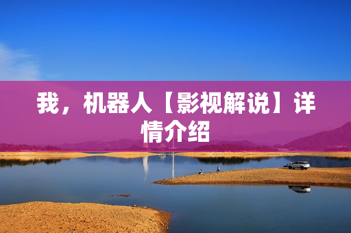 我，机器人【影视解说】详情介绍