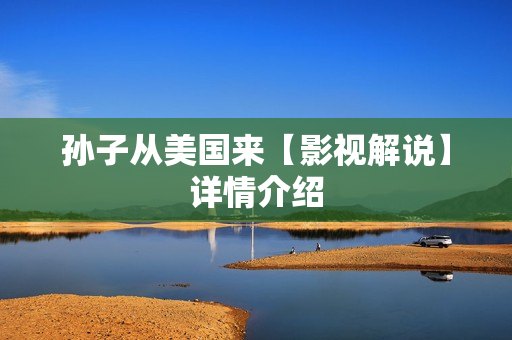 孙子从美国来【影视解说】详情介绍