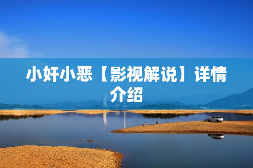 小奸小恶【影视解说】详情介绍