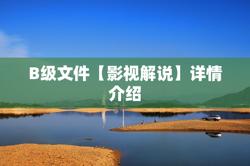 B级文件【影视解说】详情介绍