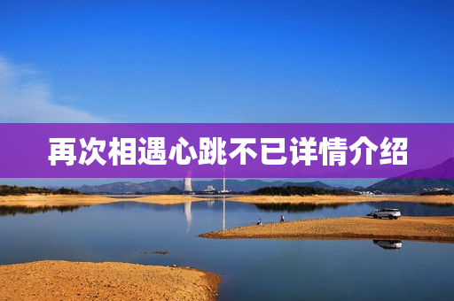再次相遇心跳不已详情介绍
