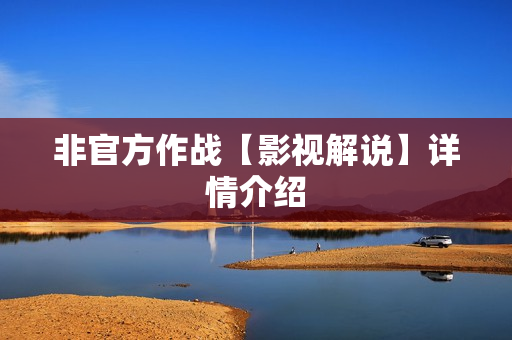 非官方作战【影视解说】详情介绍