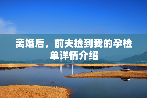 离婚后，前夫捡到我的孕检单详情介绍