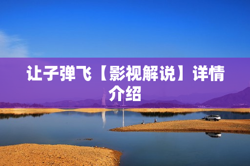 让子弹飞【影视解说】详情介绍