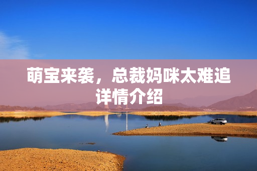 萌宝来袭，总裁妈咪太难追详情介绍