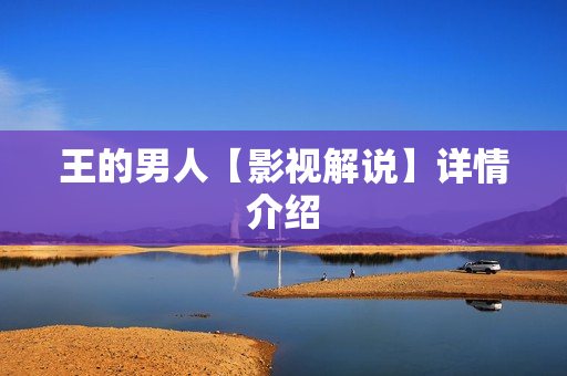 王的男人【影视解说】详情介绍