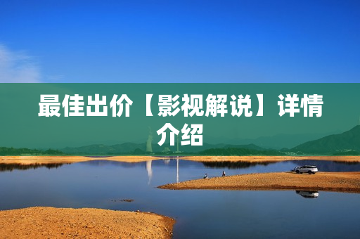 最佳出价【影视解说】详情介绍