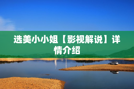 选美小小姐【影视解说】详情介绍