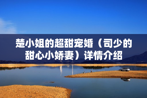 楚小姐的超甜宠婚（司少的甜心小娇妻）详情介绍