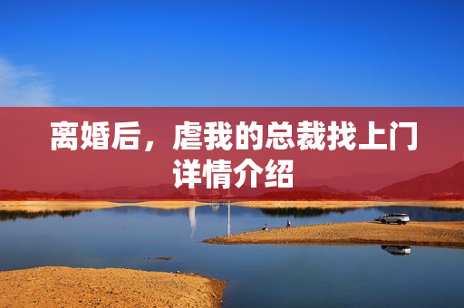离婚后，虐我的总裁找上门详情介绍