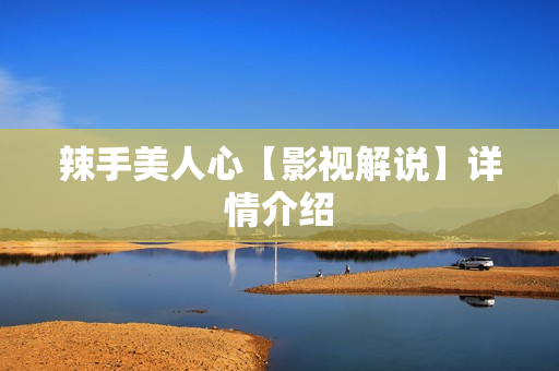 辣手美人心【影视解说】详情介绍