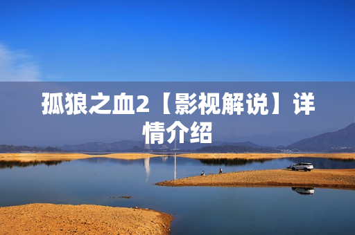 孤狼之血2【影视解说】详情介绍