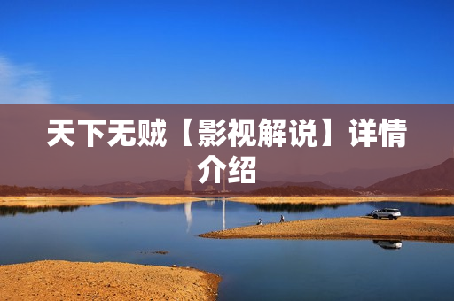 天下无贼【影视解说】详情介绍