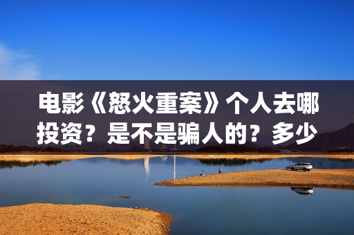 电影《怒火重案》个人去哪投资？是不是骗人的？多少资金能参与？(电影《怒火重案》国语在线观看)