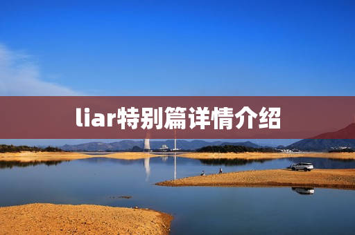 liar特别篇详情介绍