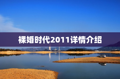 裸婚时代2011详情介绍