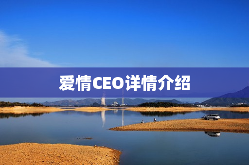 爱情CEO详情介绍
