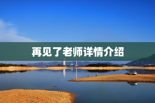 再见了老师详情介绍