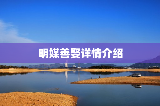 明媒善娶详情介绍