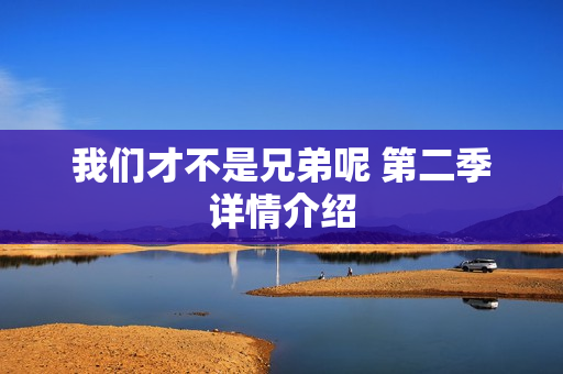我们才不是兄弟呢 第二季详情介绍