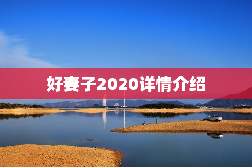 好妻子2020详情介绍