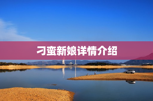 刁蛮新娘详情介绍