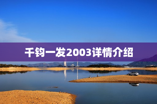千钧一发2003详情介绍
