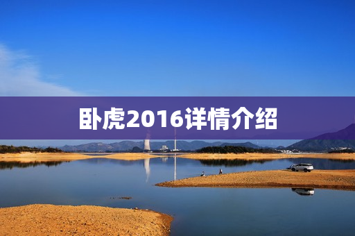 卧虎2016详情介绍