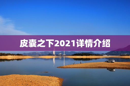 皮囊之下2021详情介绍
