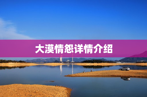 大漠情怨详情介绍