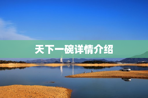 天下一碗详情介绍