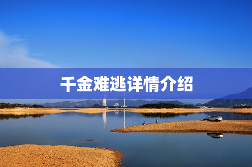 千金难逃详情介绍