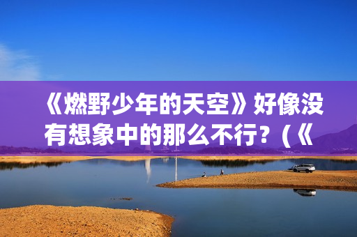 《燃野少年的天空》好像没有想象中的那么不行？(《燃野少年的天空》续集)