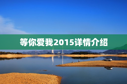 等你爱我2015详情介绍 等你爱我2015详情介绍