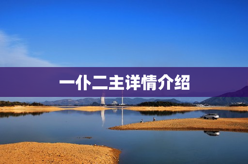一仆二主详情介绍