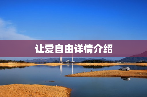 让爱自由详情介绍