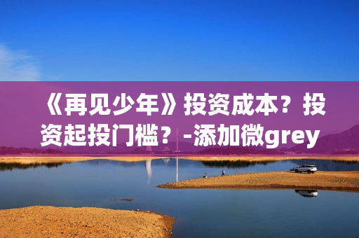 《再见少年》投资成本？投资起投门槛？-添加微grey121415(电影再见少年投资)