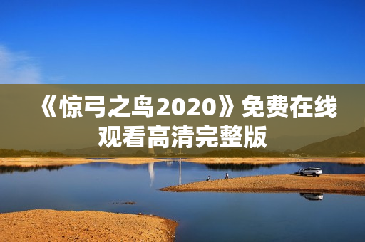 《惊弓之鸟2020》免费在线观看高清完整版