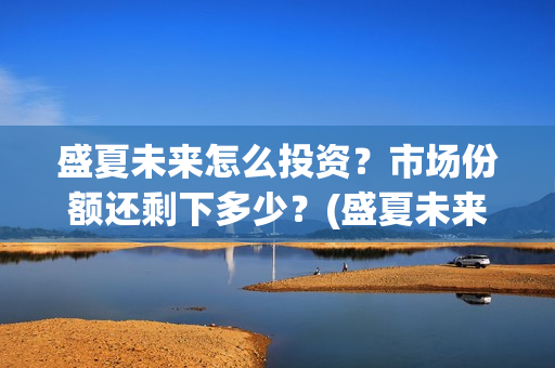盛夏未来怎么投资？市场份额还剩下多少？(盛夏未来怎么投资)
