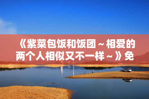 《紫菜包饭和饭团～相爱的两个人相似又不一样～》免费在线观看高清完整版