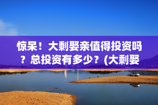 惊呆！大剩娶亲值得投资吗？总投资有多少？(大剩娶亲最新动态)