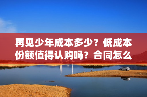 再见少年成本多少？低成本份额值得认购吗？合同怎么签？(再见少年改编自)
